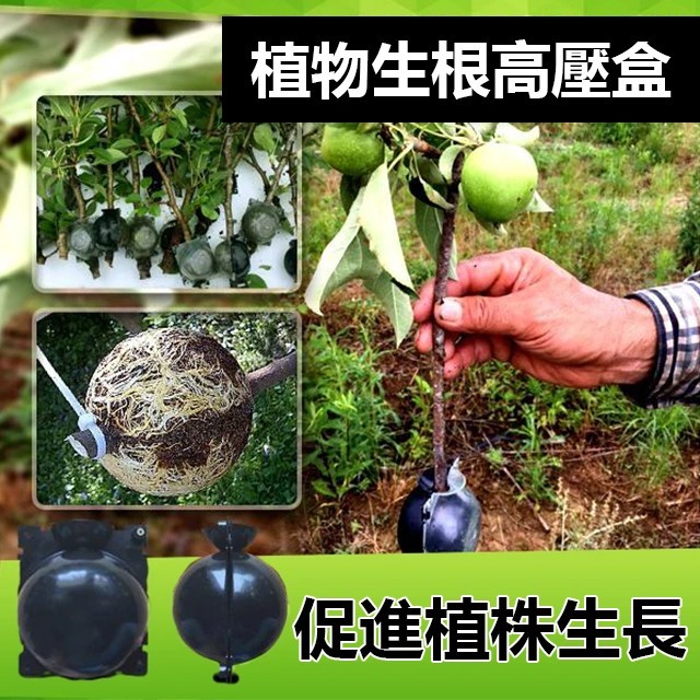 植物高壓生根繁殖器扦插嫁接盒，價格低至39！高溫高壓、快速促生根係、成活率高