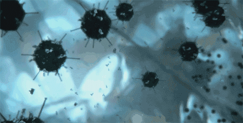 20230628_152606_255_20230629094213_046.gif
